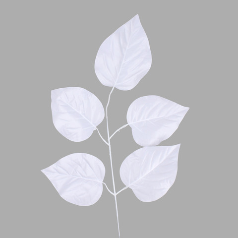 Linden, White F162-03