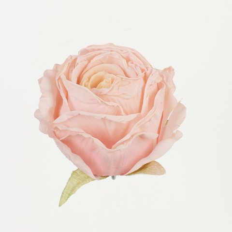 Rose B92