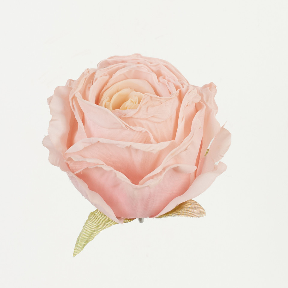 Róża, Pink B92-02