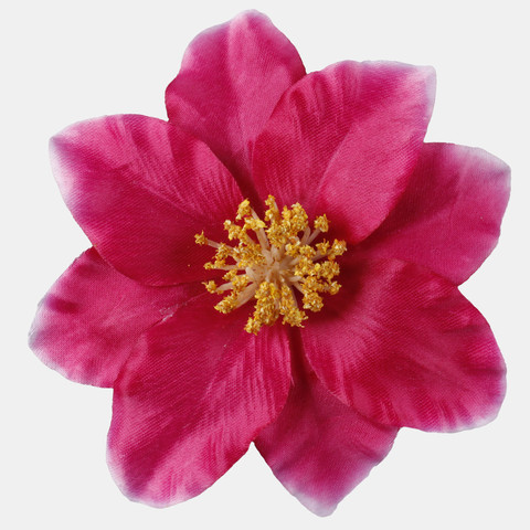 Clematis, Burgundy/Yellow Center W572-15