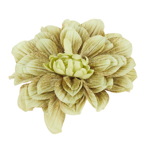 Dahlia head, #32 B32-32A