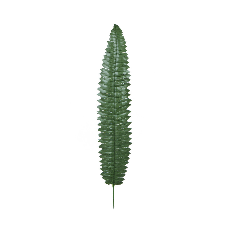 Paproć - liść 55 cm, dk. green L490-02