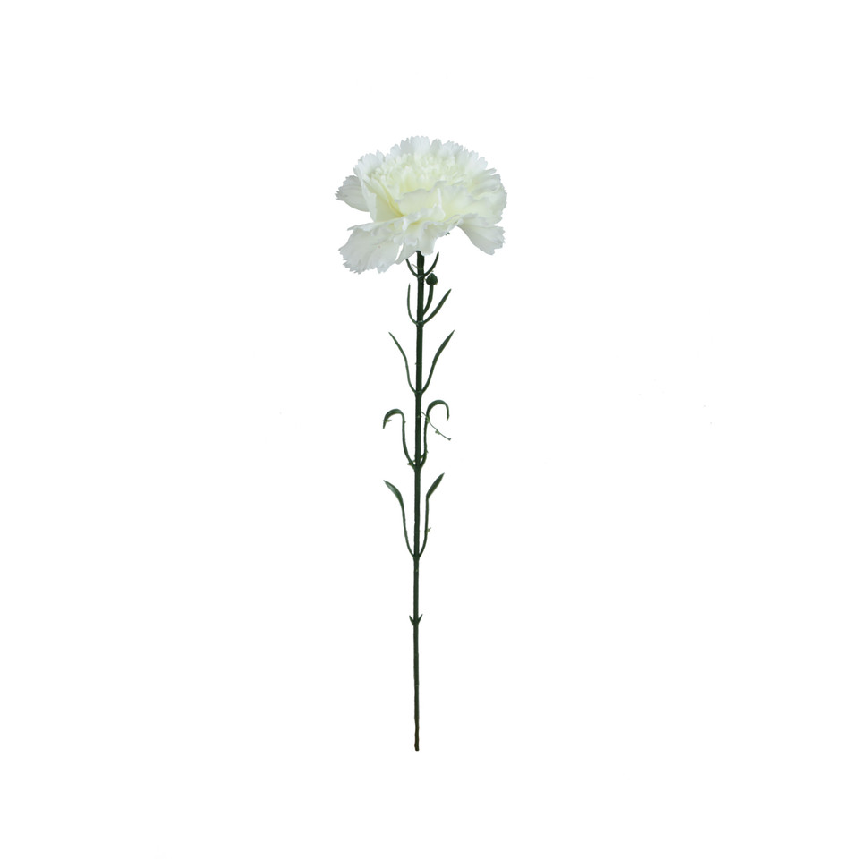 Goździk - gałązka 54 cm, m2 GK148-m2