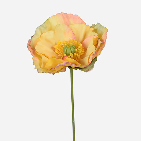 Poppy, Yellow L919-05
