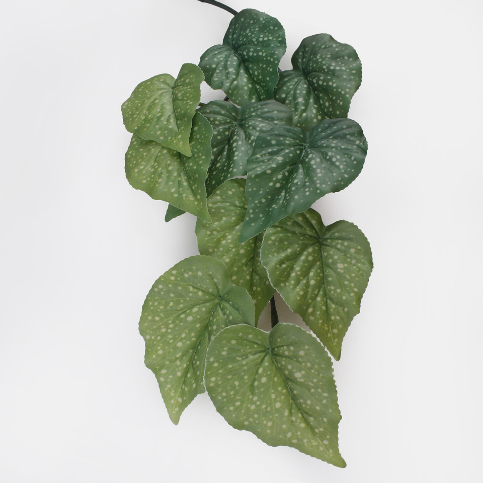 Kaladium - girlanda 1,2 m, Green B170-02