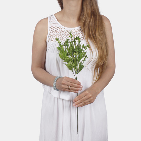 Impatiens A791 (Product size)