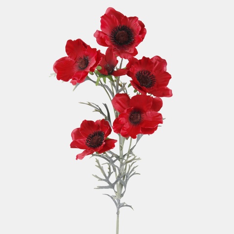 Mak, Red L810-01