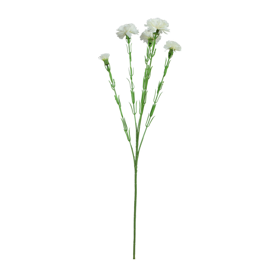 Goździk - gałązka 60 cm, m3 GK139-m3