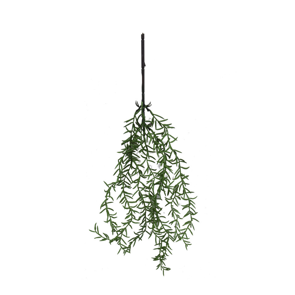 Asparagus - zwis 65 cm, green B217-00