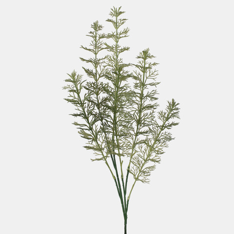Dill, Lt. Green A717-01
