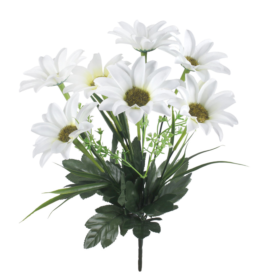 Gerbera x 7, Cream QA186-02