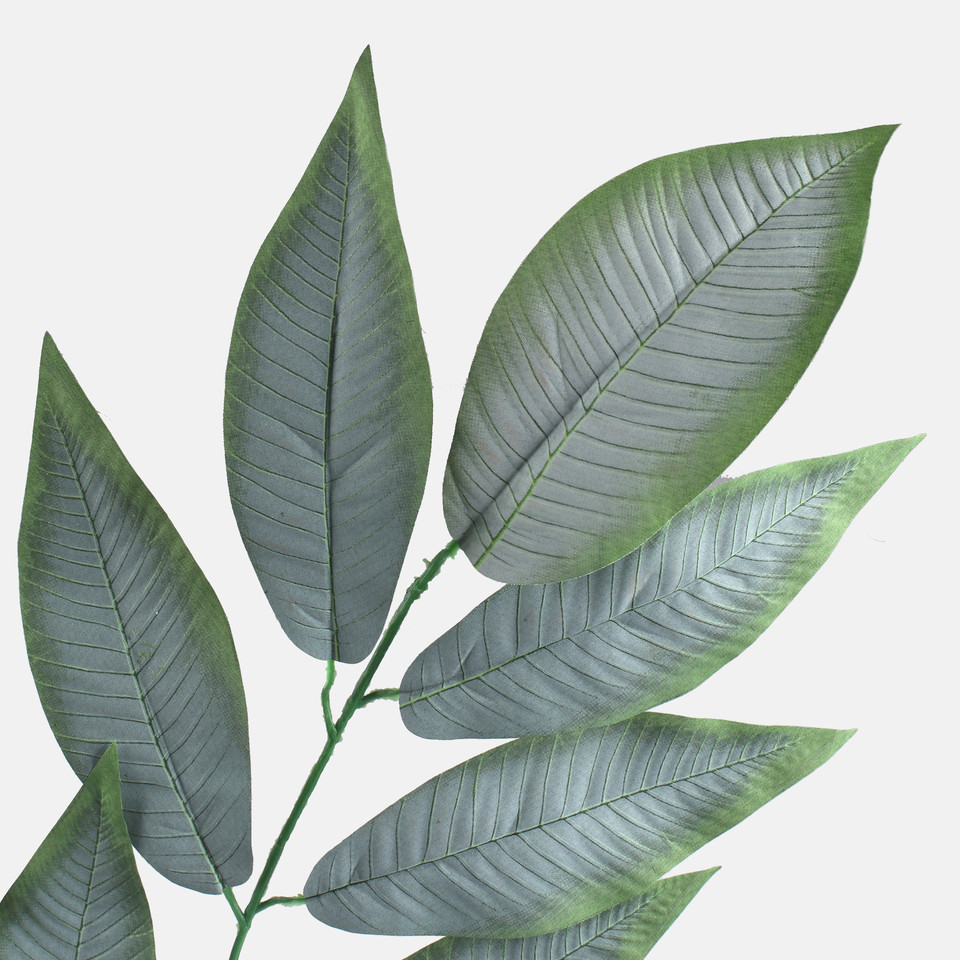 Nut, Green F220-01