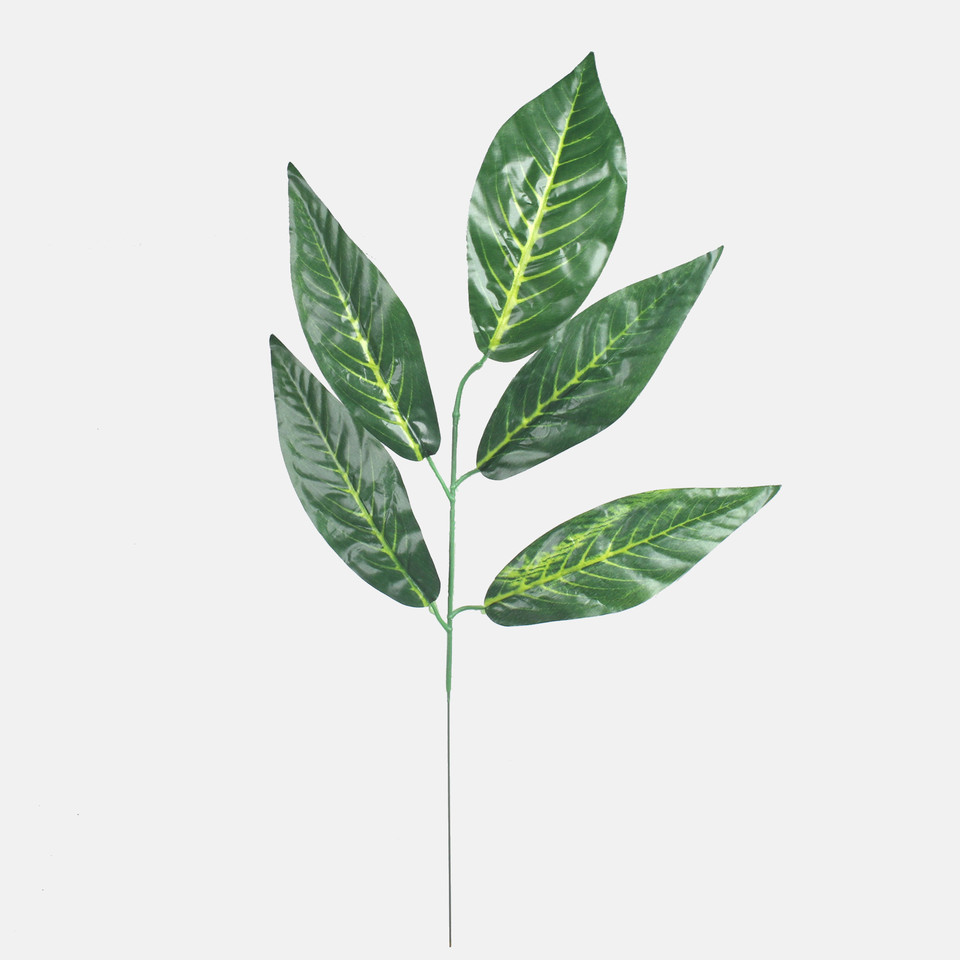 Nut, Green F215-01