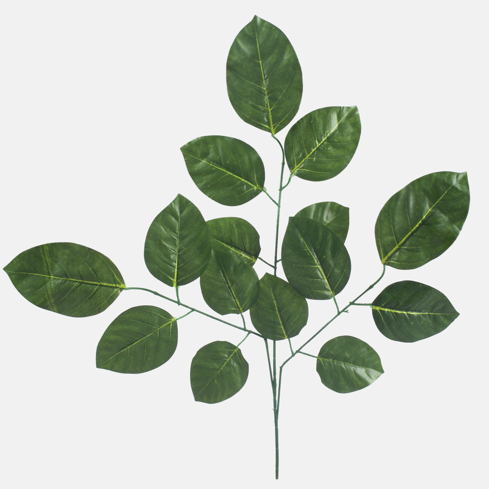 Linden, Green F167-01
