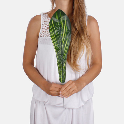 Asplenium leaf A619 (Product size)