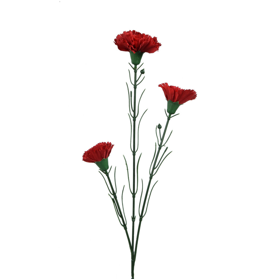 Goździk - gałązka 60 cm, m2 GK149-m2
