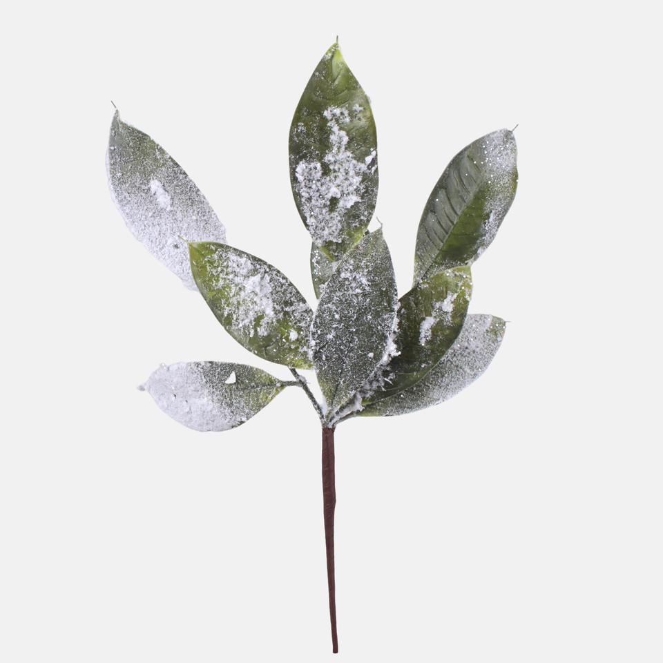 Frosted bay leaf, Frosted Green A857S-01