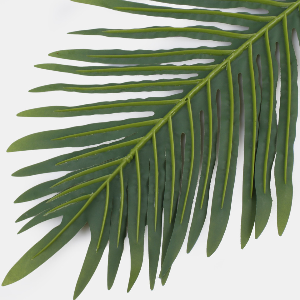Palm leaf, Green F119