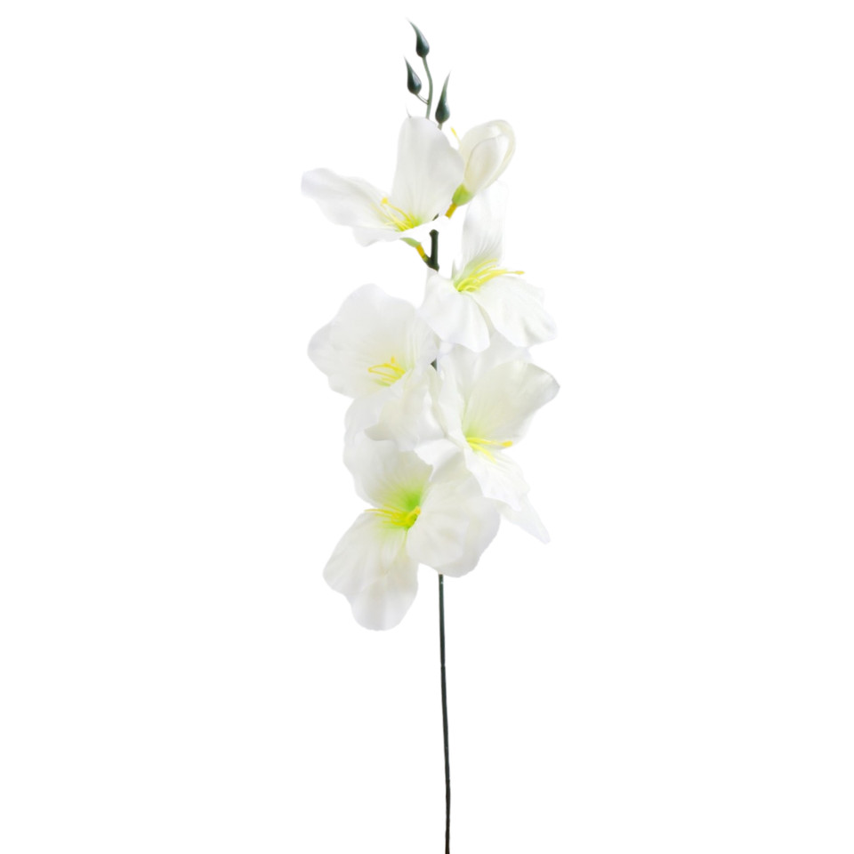 Mieczyk - gałązka 55 cm, white/lt. green K327N-04