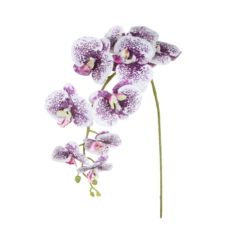 Storczyk - gałązka gumowana 102 cm, cream violet dot GK560-08
