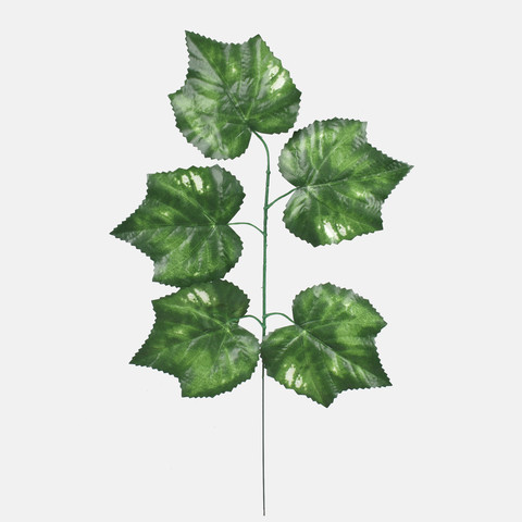 Maple, Green F243-01