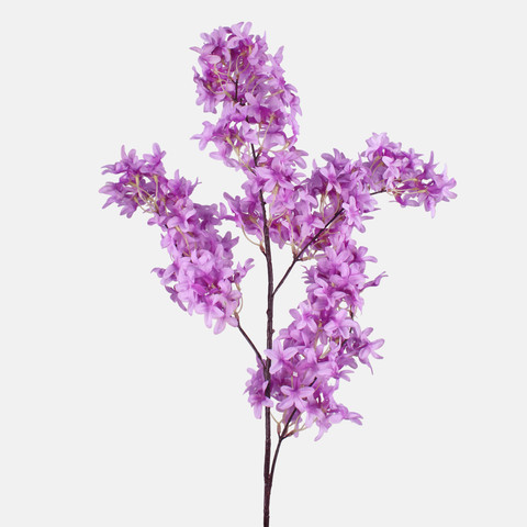 Bez, Lilac L262-02