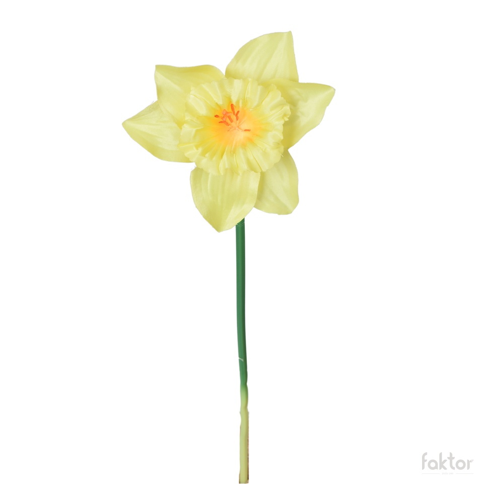 Żonkil - gałązka 39 cm, m K550E-m