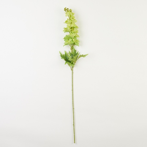 Ostróżka – gałązka, green AL12-04