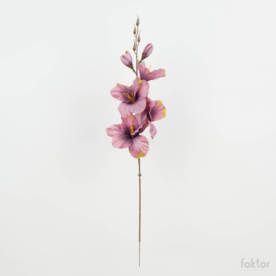 Mieczyk – pik satyna (12 szt.), tt.purple W183-58