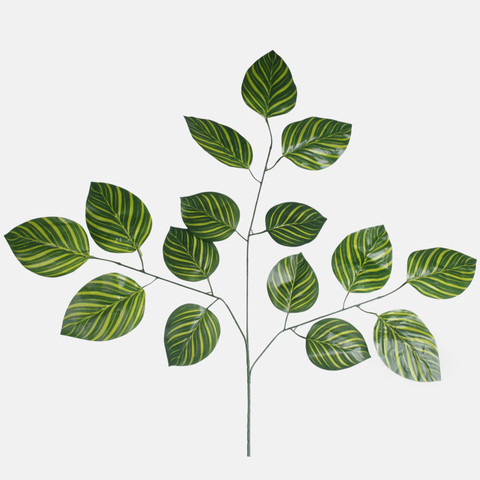 Linden tree branch 3 x 5 F005X3