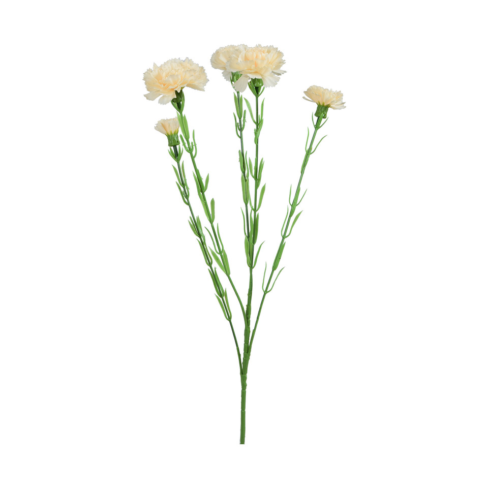 Goździk - gałązka 60 cm, m3 GK139-m3