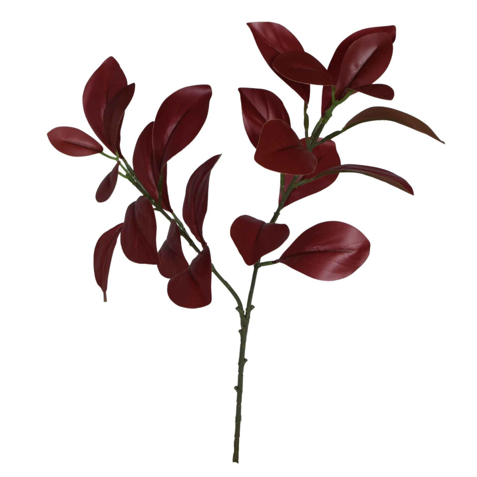 Fikus- gałązka liściasta 59 cm, BURGUNDY R253-02