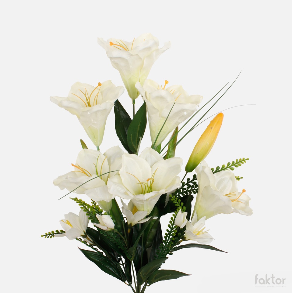 Amaryllis x 6, Cream/Green QA019-03