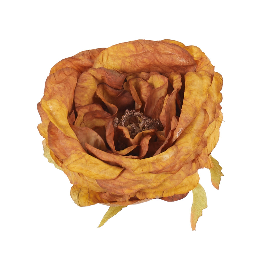Peonia - główka, 06 copper B126-06