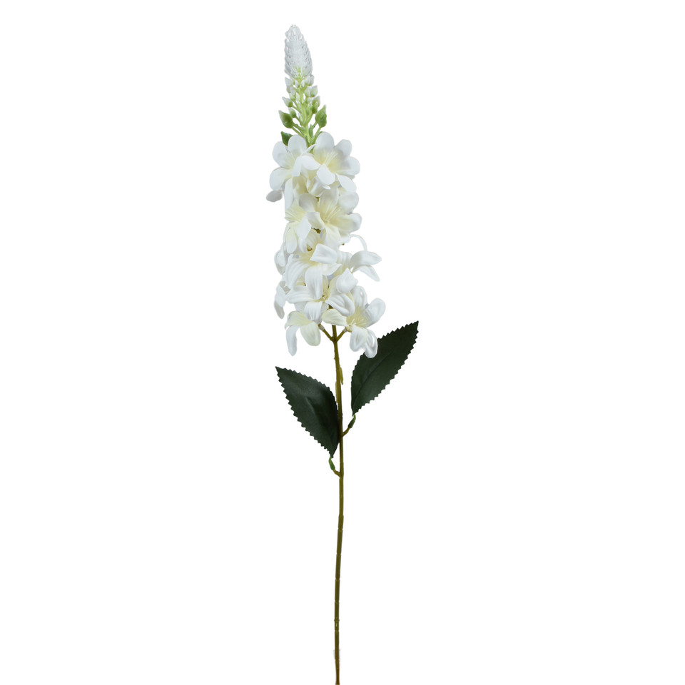 Delfinium Ostróżka – gałązka 75 cm, m K649-m