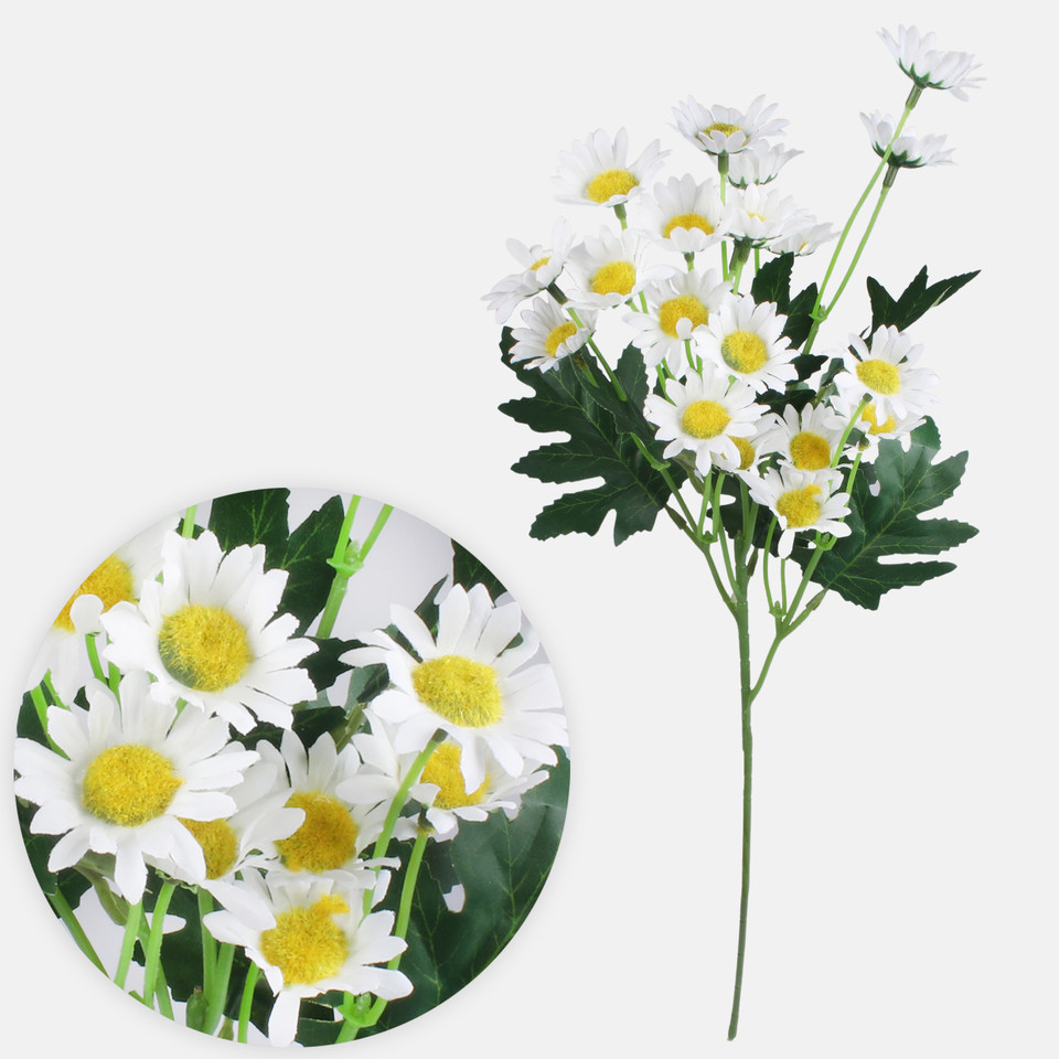 Margerytka, White G477-01
