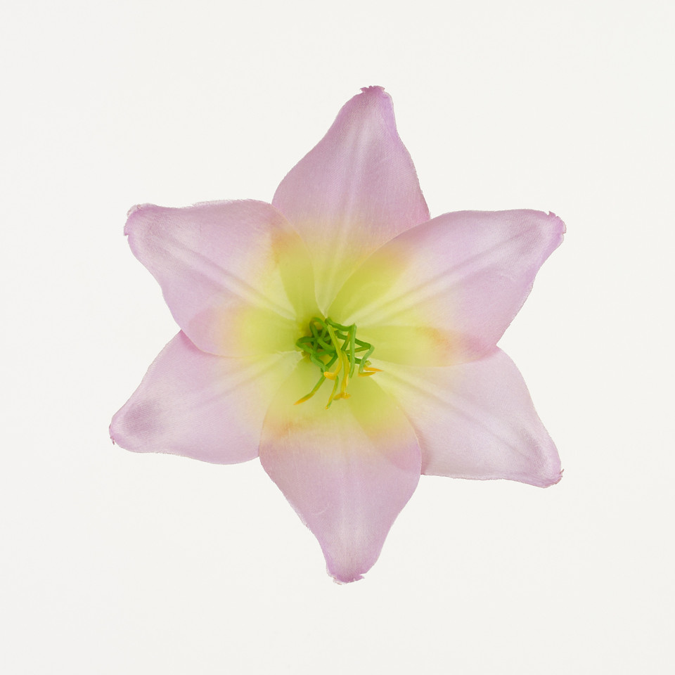 Lilia – główka satyna, violet/yellow B276-030