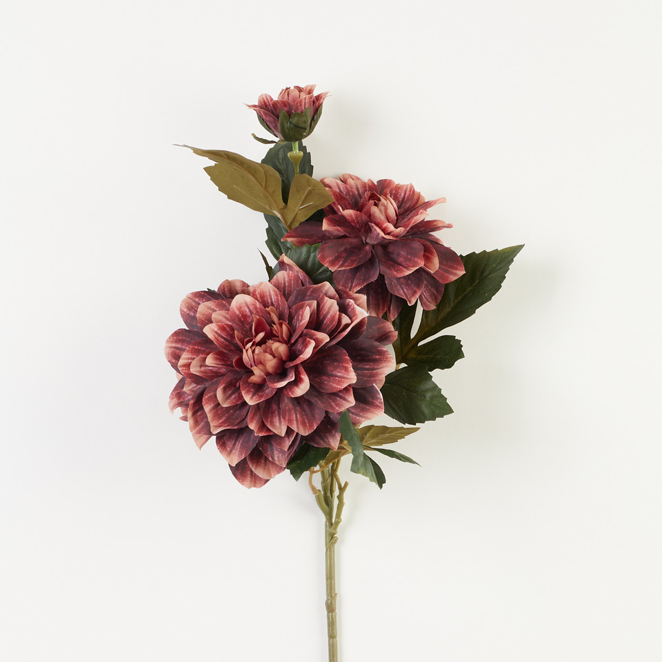 Dalia – gałązka, 9 B31-49