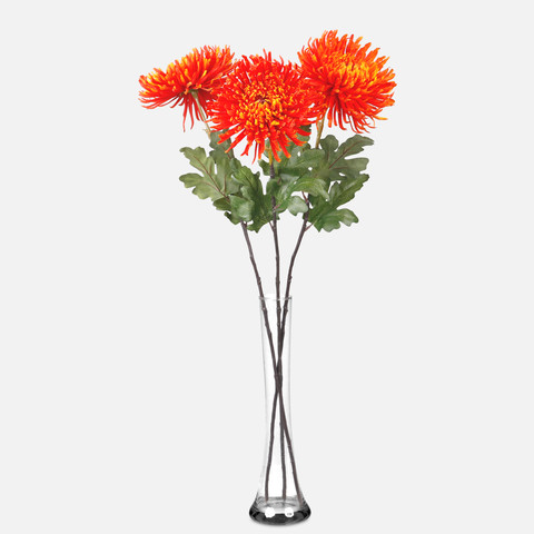 Chrysanthemum, Orange L222K-03