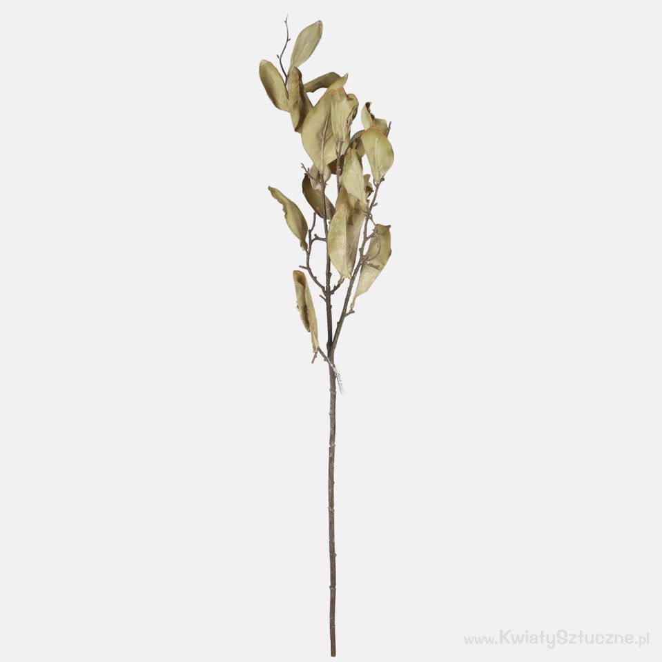 Autumn branch magnolia, Mix 1 F156Y-01