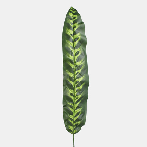 peacock leaf A206