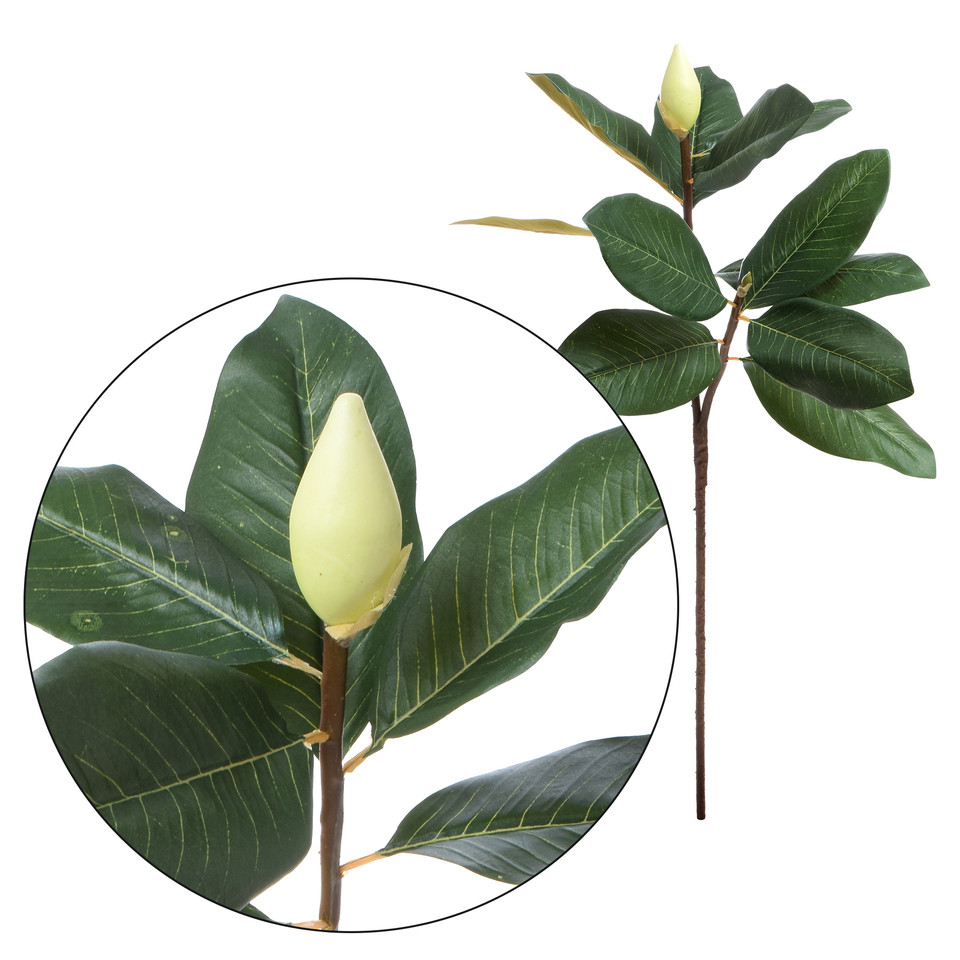 Magnolia - gałązka 75 cm R907-00