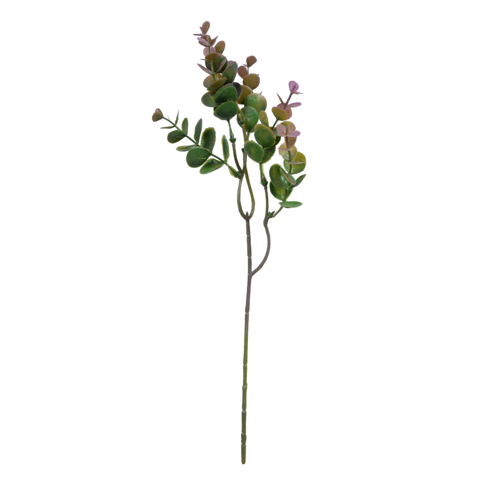 Eukaliptus - gałązka 37 cm, green R461-00