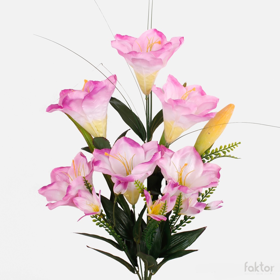 Amaryllis x 6, Lt. Purple QA019-05