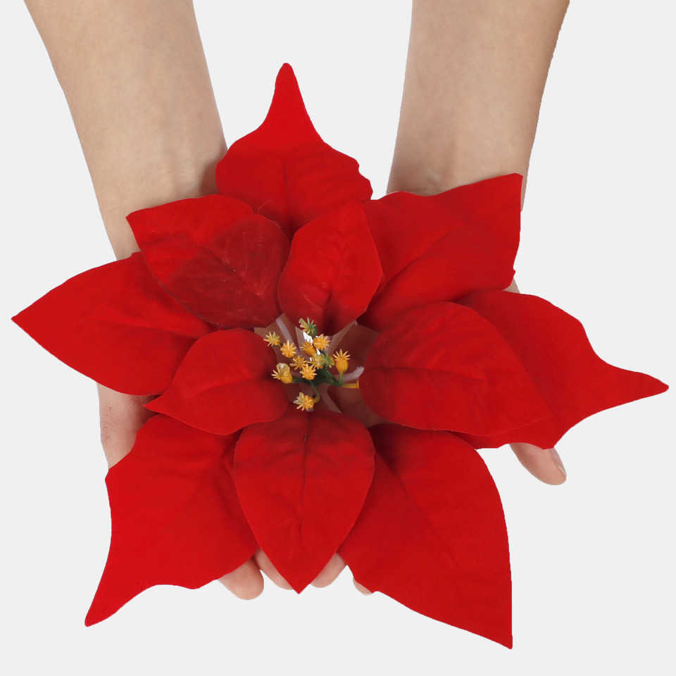 Poinsettia W716S