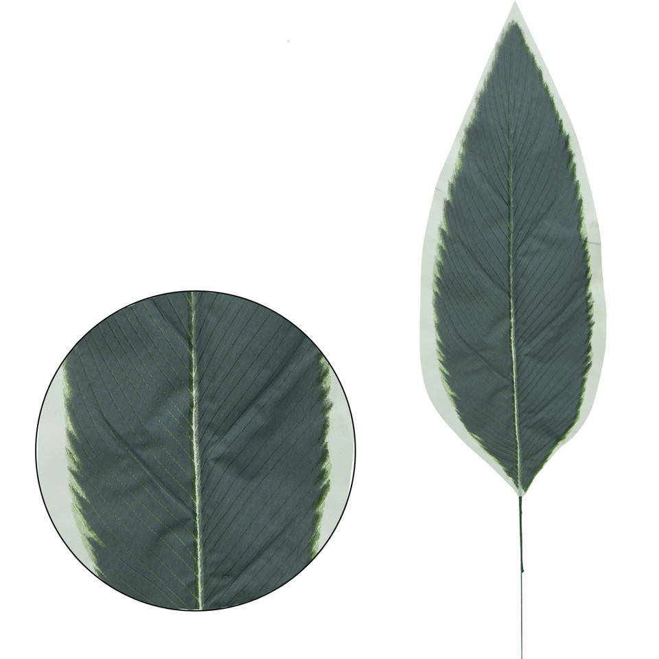 Dracena - Liść 65 cm L516-00