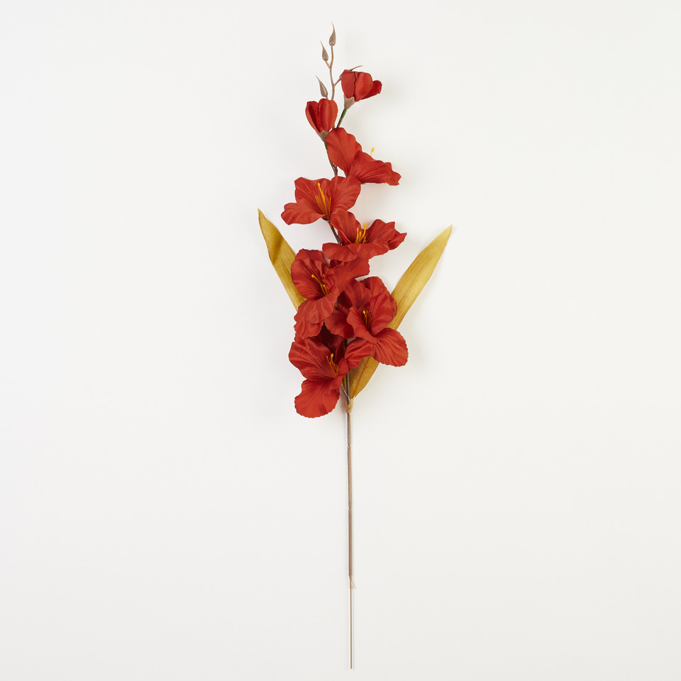 Mieczyk, Copper Red B184-62