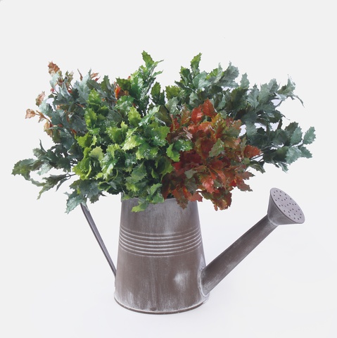 Holly x 7, Frosty Green A604-01