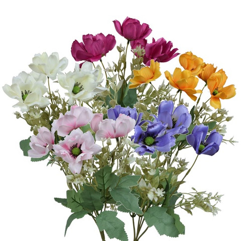 Anemone U826