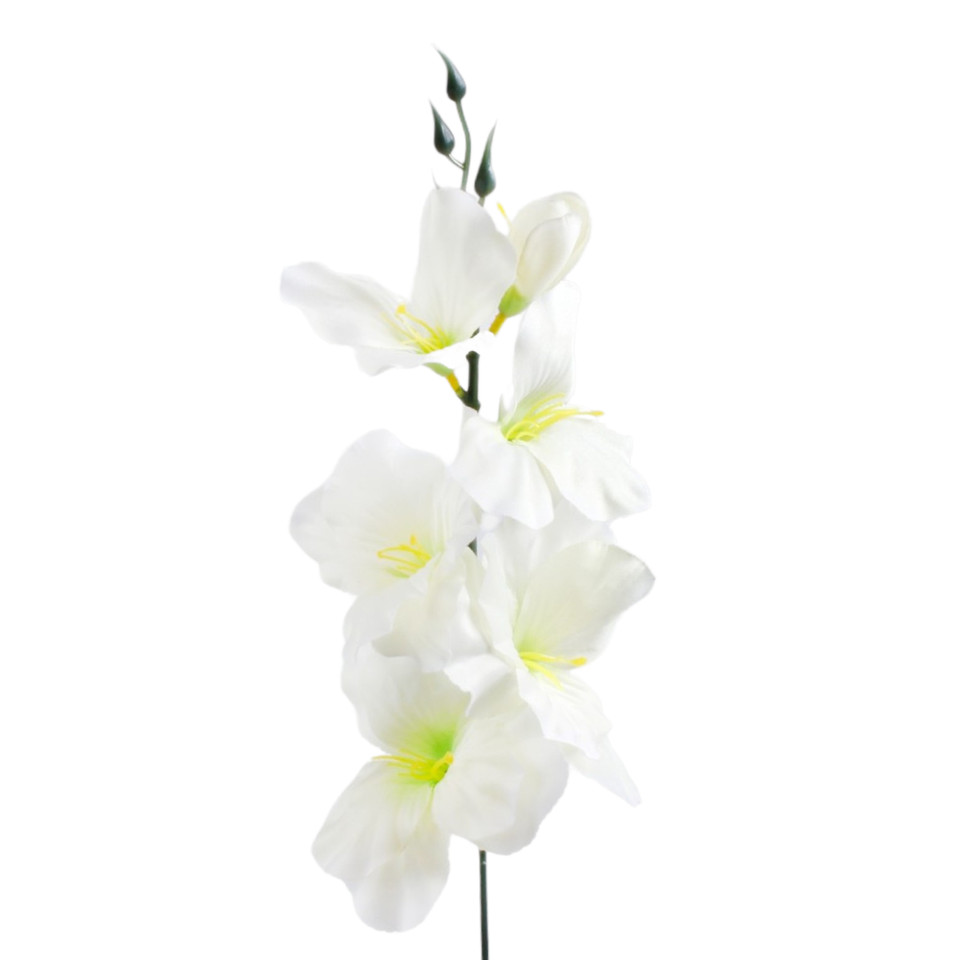 Mieczyk - gałązka 55 cm, white/lt. green K327N-04